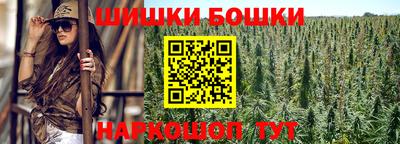 МДПВ Краснознаменск