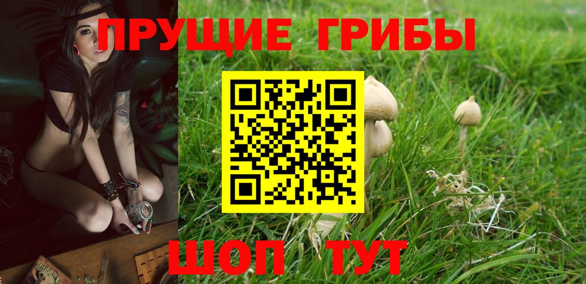 Клин  Галлюциногенные грибы мицелий  Вход с VPN 